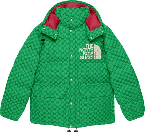 the north face gucci green|More.